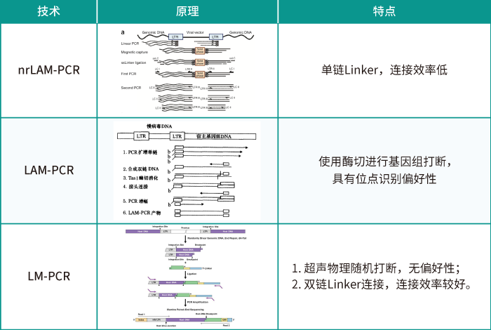 慢病毒随机插入的位点评估方法_k8凯发基因_慢病毒插入位点检测