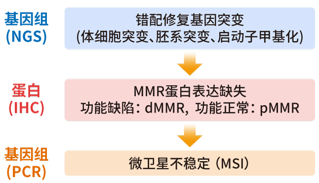 MSI/MMR检测方法_k8凯发基因